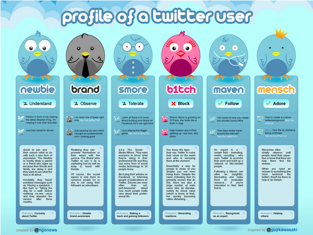 Profile of a twitter user Infographic